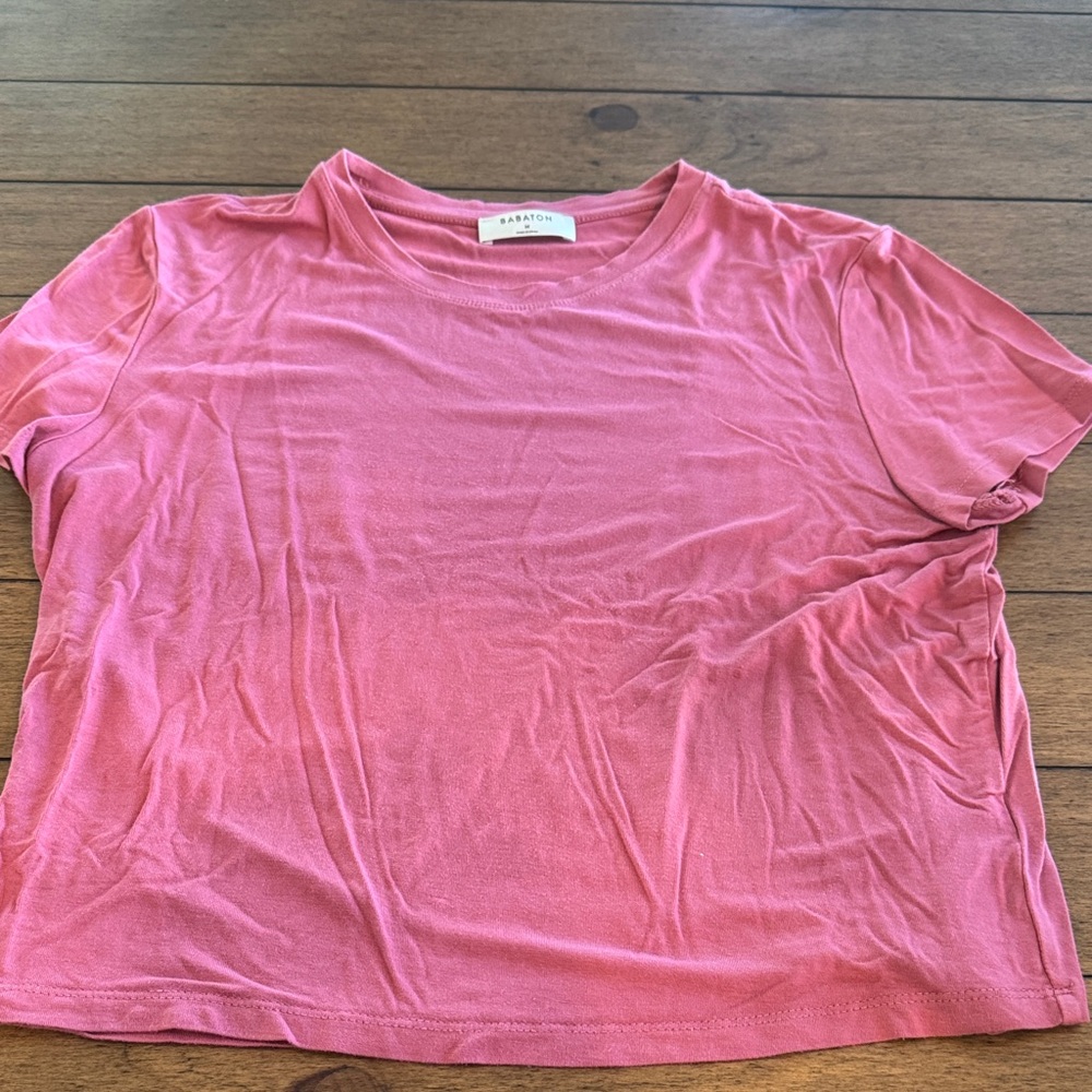 Aritzia Babaton Short Sleeve Tee